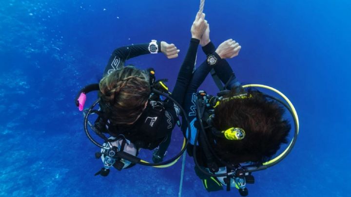 Update from PRO DIVE Sydney - Group Dives & Courses Available
